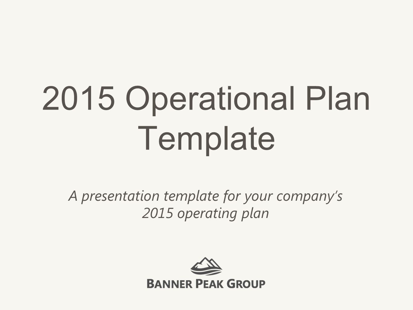 Quick Business Plan or Operational Plan Template